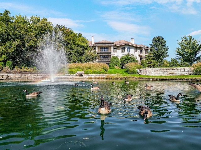 4801 W 133rd St Unit 103, Leawood, KS 66209 - water view