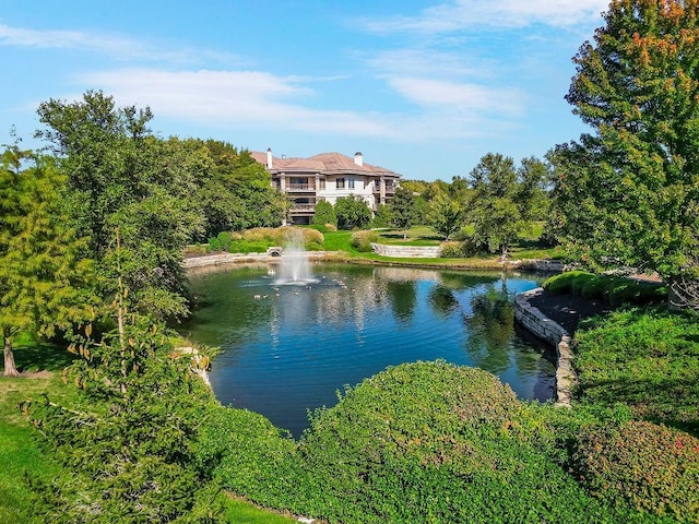 4801 W 133rd St Unit 103, Leawood, KS 66209 - water view