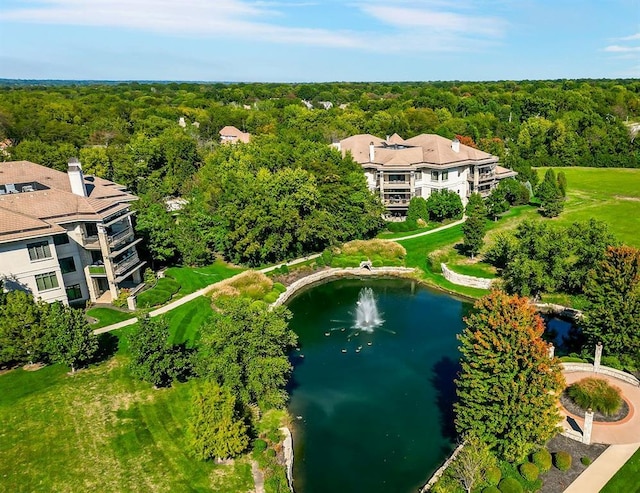 4801 W 133rd St Unit 103, Leawood, KS 66209 - aerial view of a large body of water and a heavily wooded area