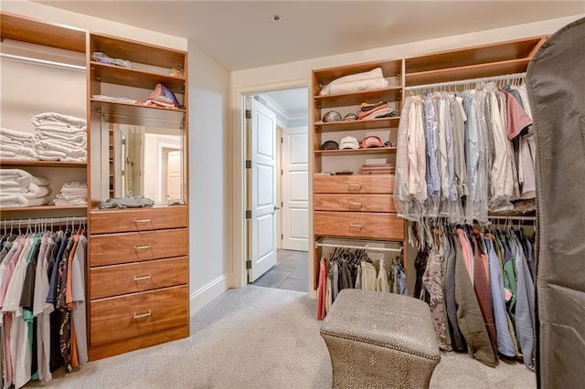 4801 W 133rd St Unit 103, Leawood, KS 66209 - walk in closet featuring carpet floors