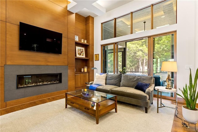 25075 W 105th Ter, Olathe, KS 66061 - living area featuring light wood-style floors, built in shelves, a glass covered fireplace, and a high ceiling