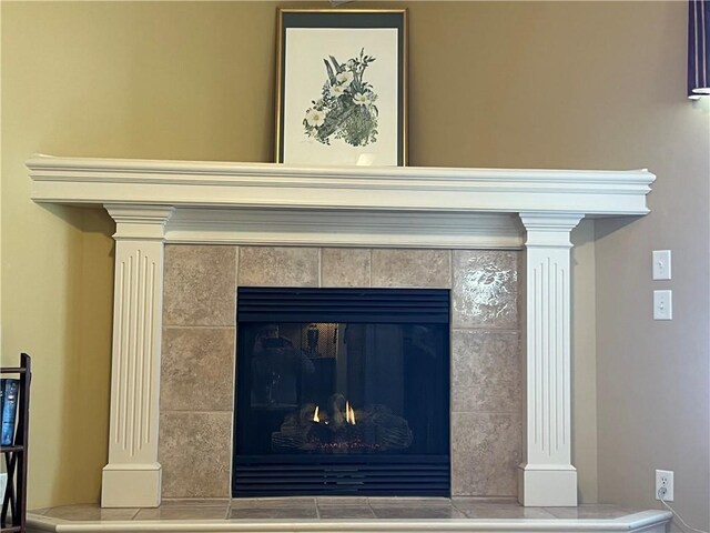 14175 W 155th St, Olathe, KS 66062 - detailed view of a fireplace and decorative columns