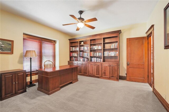 604 N Buckner Tarsney Rd, Buckner, MO 64016 - photo 24