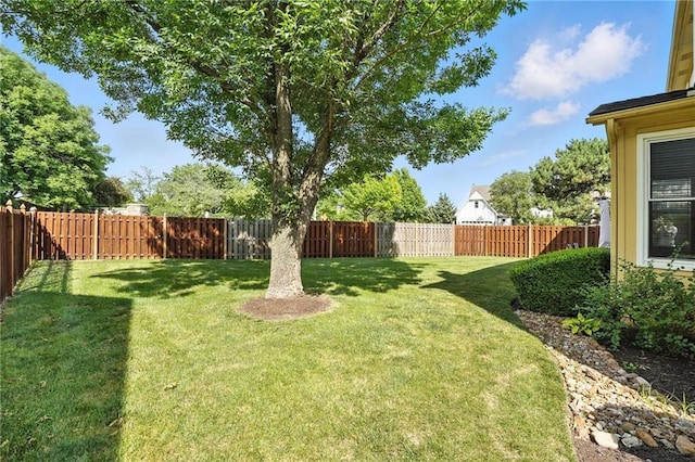 11906 S Rene St, Olathe, KS 66062 - photo 42