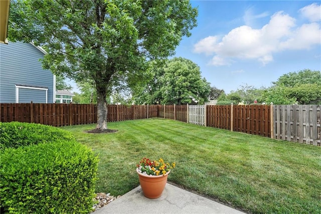 11906 S Rene St, Olathe, KS 66062 - photo 43