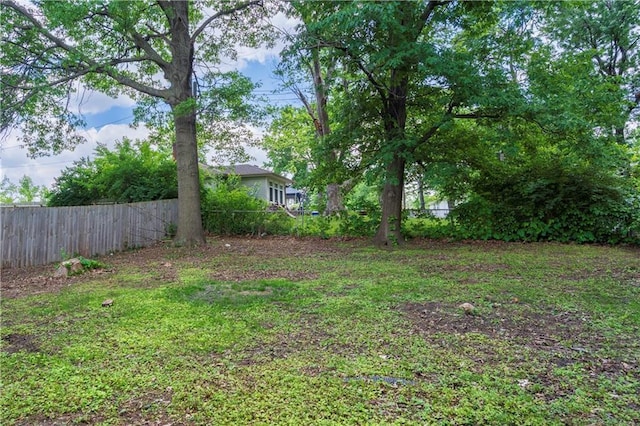 4417 E 104th St, Kansas City, MO 64137 - view of yard