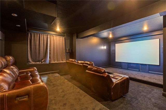 9300 W 156th Pl, Overland Park, KS 66221 - cinema with carpet flooring, a textured ceiling, and baseboards