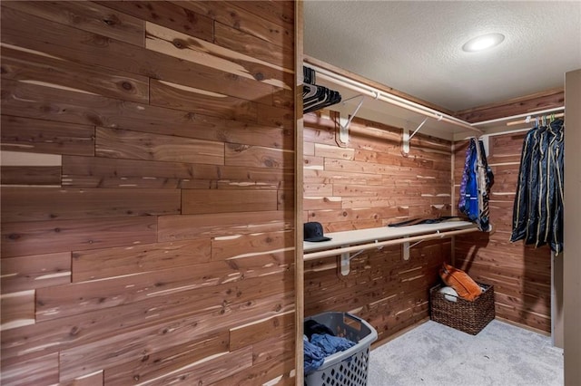 9300 W 156th Pl, Overland Park, KS 66221 - spacious closet with carpet flooring