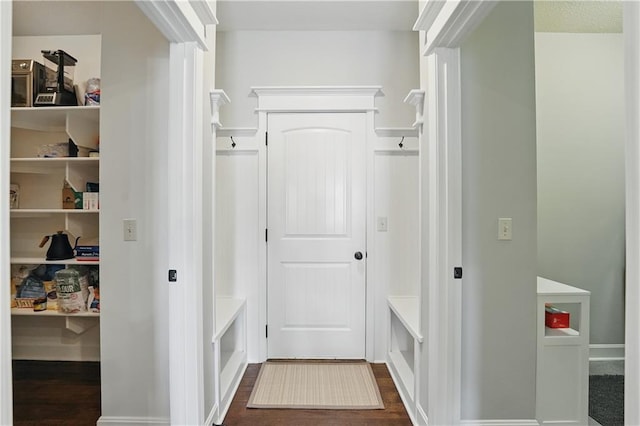 1104 NW 109th St, Kansas City, MO 64155 - mudroom with dark wood-type flooring