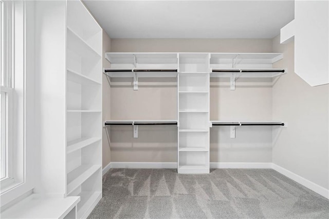 14278 S Houston St, Olathe, KS 66061 - spacious closet with carpet