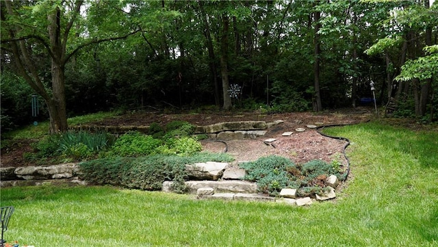 5500 NW 62nd St, Kansas City, MO 64151 - view of green lawn