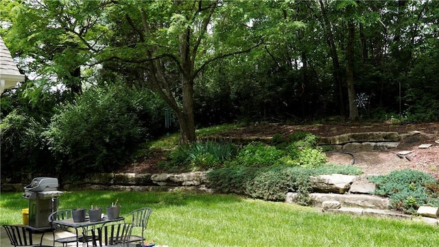5500 NW 62nd St, Kansas City, MO 64151 - view of grassy yard