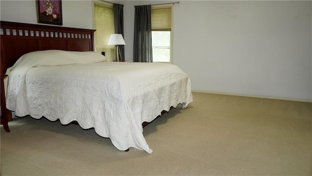 5500 NW 62nd St, Kansas City, MO 64151 - view of carpeted bedroom