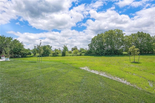 24129 W 95th St, Lenexa, KS 66227 - view of green lawn
