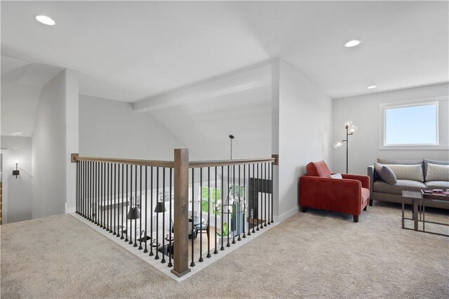 12406 W 182nd Ct, Overland Park, KS 66013 - photo 42