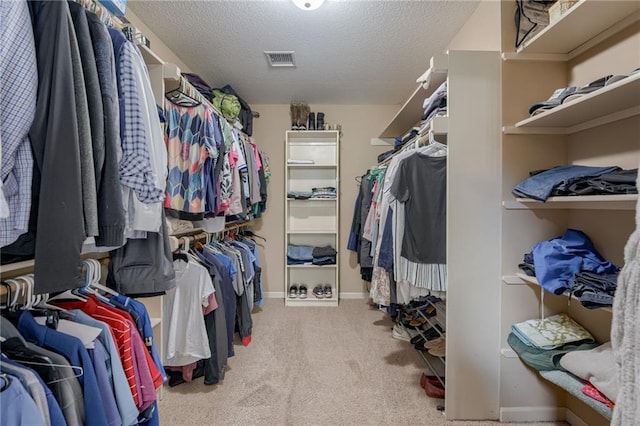2208 SW Hawk View Rd, Lees Summit, MO 64082 - walk in closet featuring carpet