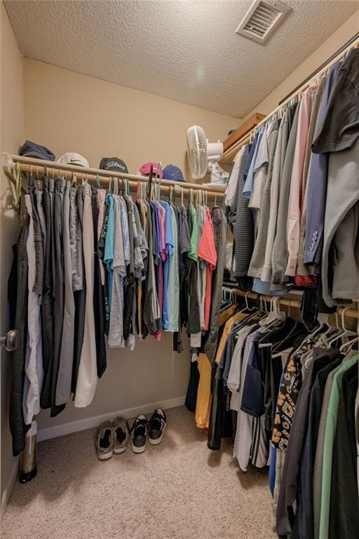 2208 SW Hawk View Rd, Lees Summit, MO 64082 - spacious closet with carpet