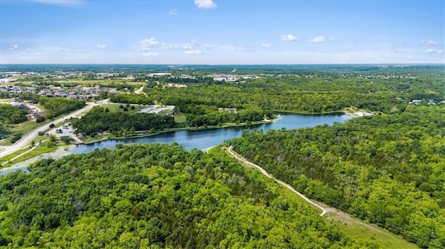 9412 Aurora St, Lenexa, KS 66220 - drone / aerial view of a forest and a nearby body of water