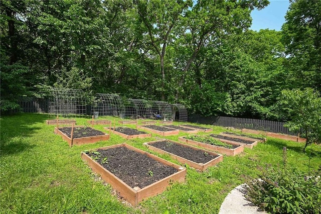 8 Apache Dr, Lake Winnebago, MO 64034 - view of yard featuring a garden