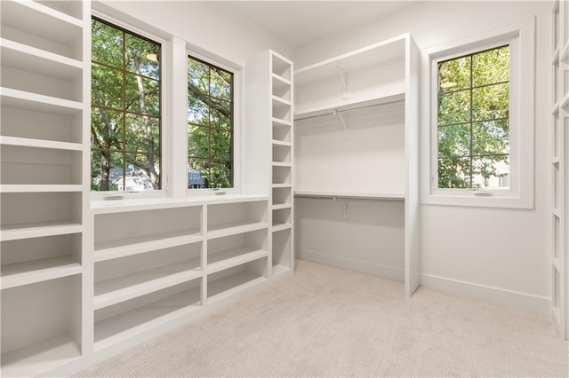 18568 W 180th Ct, Olathe, KS 66062 - spacious closet featuring carpet floors
