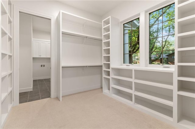 18568 W 180th Ct, Olathe, KS 66062 - spacious closet with carpet flooring