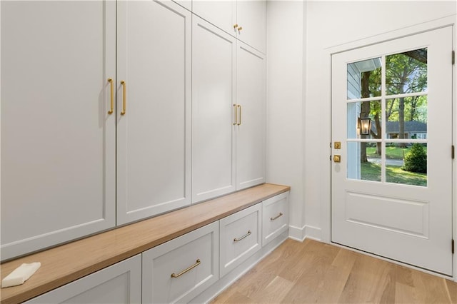 18568 W 180th Ct, Olathe, KS 66062 - mudroom with light wood-style flooring
