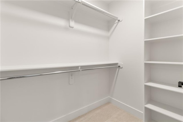 18568 W 180th Ct, Olathe, KS 66062 - walk in closet with carpet flooring