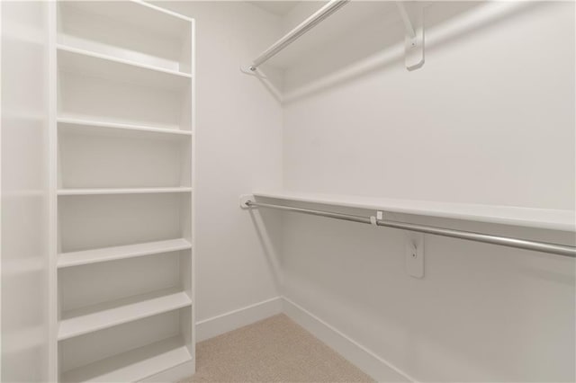 18568 W 180th Ct, Olathe, KS 66062 - spacious closet with carpet
