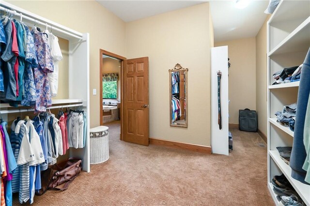 1672 N 1st Rd, Baldwin City, KS 66006 - spacious closet featuring carpet