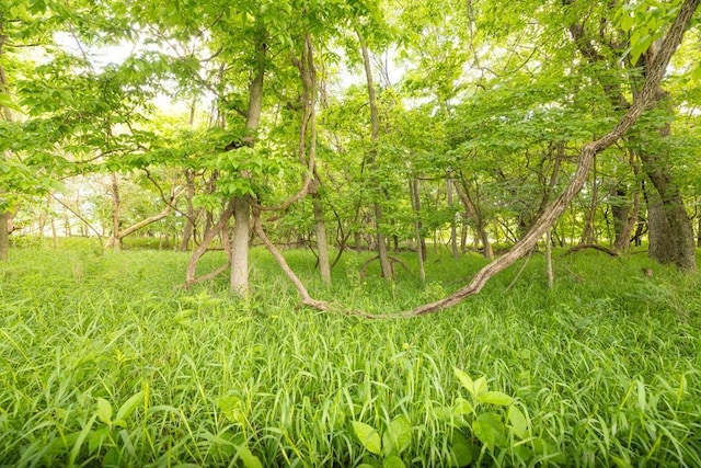 Unity Rd, Mapleton, KS 66754