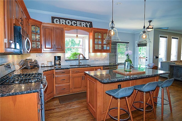 1101 SW Sunflower Dr, Lees Summit, MO 64081 - kitchen with appliances with stainless steel finishes, a sink, open floor plan, a ceiling fan, and dark wood-style floors