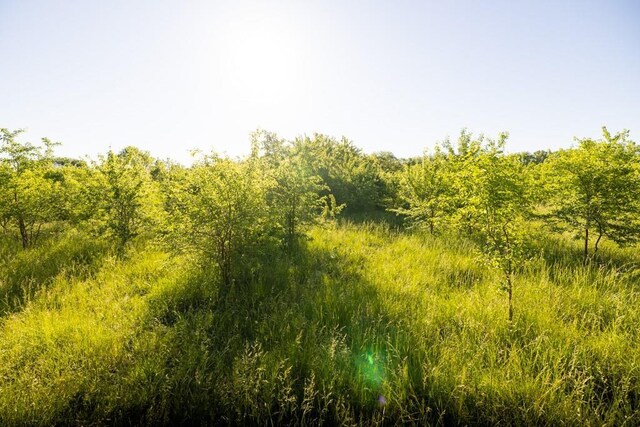 N 790 Road, Baldwin City, KS 66006 - photo 26