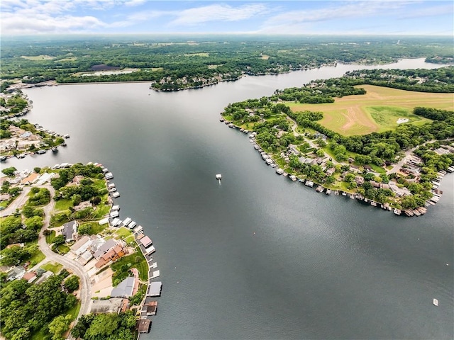 44 G St, Lake Lotawana, MO 64086 - bird's eye view of a nearby body of water