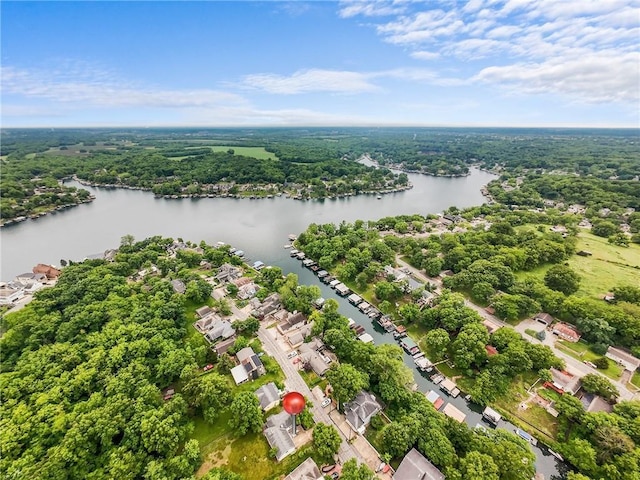 44 G St, Lake Lotawana, MO 64086 - drone / aerial view of a nearby body of water and a forest