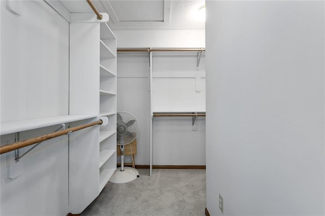 2432 SE 6th St, Lees Summit, MO 64063 - spacious closet with carpet flooring