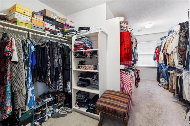 12806 Goddard Ave, Overland Park, KS 66213 - walk in closet featuring carpet