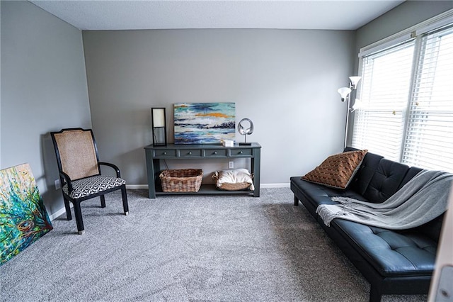 3832 SW Boulder Dr, Lees Summit, MO 64082 - living area with carpet floors and baseboards