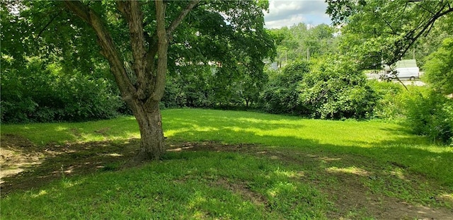 306 Morningside Dr, Richmond, MO 64085 - view of green lawn featuring a forest view