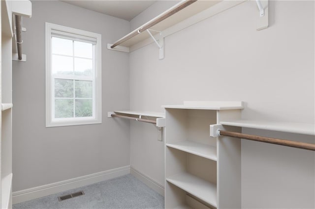 486 S 137th Pl, Bonner Springs, KS 66012 - walk in closet with carpet flooring