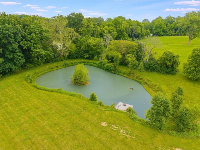 1955 Birmingham Rd, Liberty, MO 64068 - bird's eye view of a large body of water and a forest
