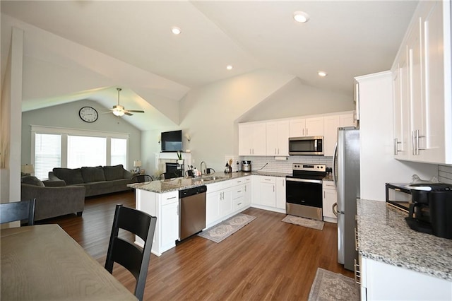 1905 Eagle Dr, Harrisonville, MO 64701 - kitchen with stainless steel appliances, open floor plan, a sink, ceiling fan, and lofted ceiling