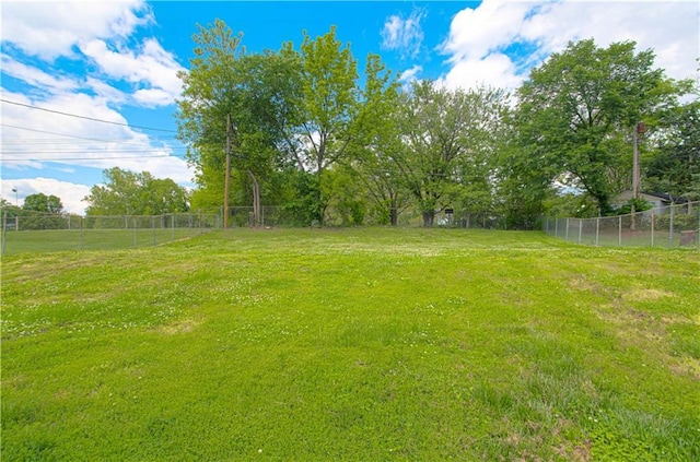 2917 N 83rd Ter, Kansas City, KS 66109 - view of yard