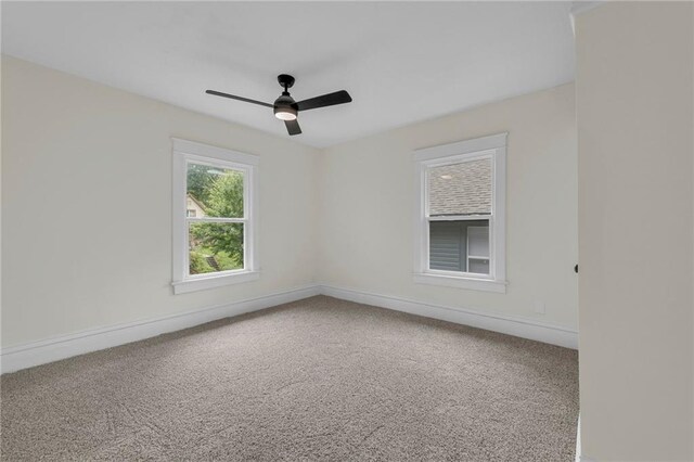 4414 Forest Ave, Kansas City, MO 64110 - photo 18