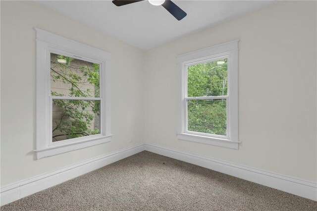 4414 Forest Ave, Kansas City, MO 64110 - photo 27