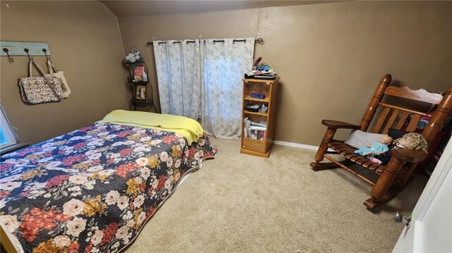 2357 160th Hwy, Columbus, KS 66725 - photo 13