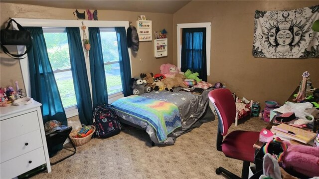 2357 160th Hwy, Columbus, KS 66725 - photo 15