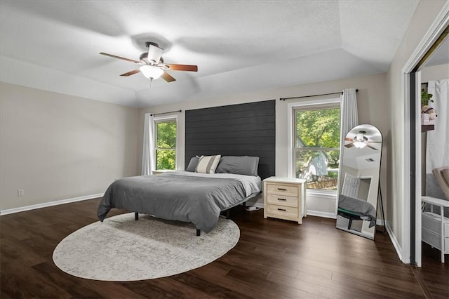 9327 Tomashaw Ln, Lenexa, KS 66219 - bedroom with multiple windows, dark wood-style floors, a raised ceiling, and lofted ceiling