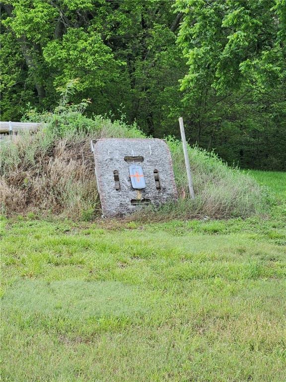 646 E 800th Rd, Lawrence, KS 66047 - exterior view of a forest