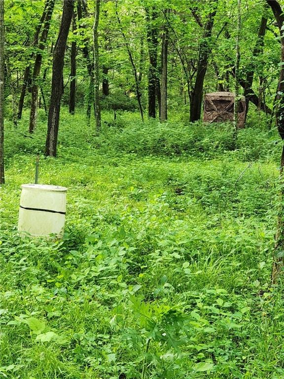 646 E 800th Rd, Lawrence, KS 66047 - view of undeveloped land