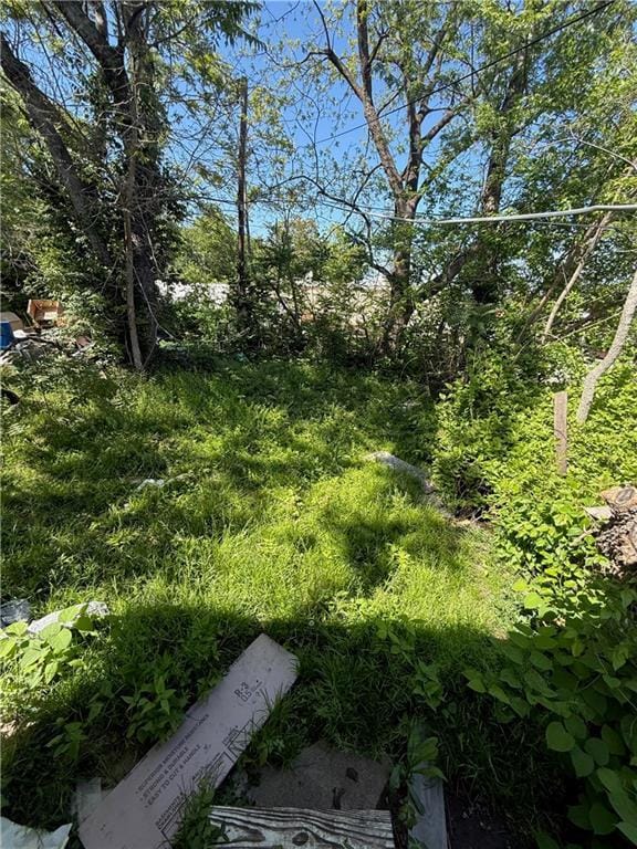 3318 E 24th St, Kansas City, MO 64127 - view of yard